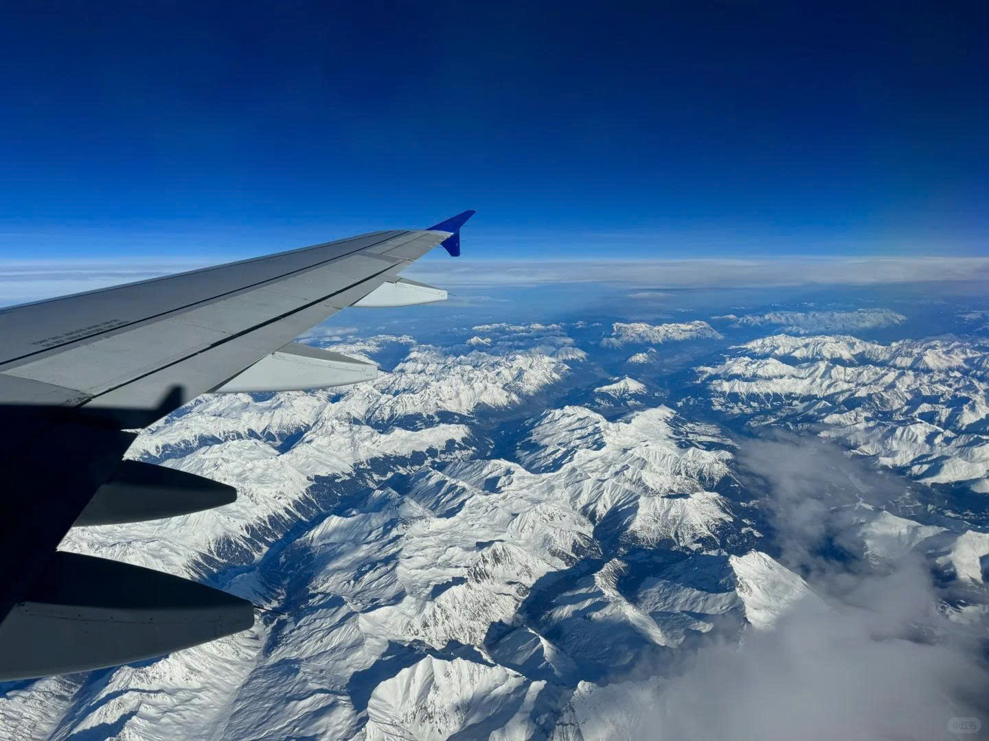 🌸🌸 SĂN HOA ĐÚNG MÙA - ĐẸP TỪNG KHOẢNH KHẮC 🇯🇵🌸