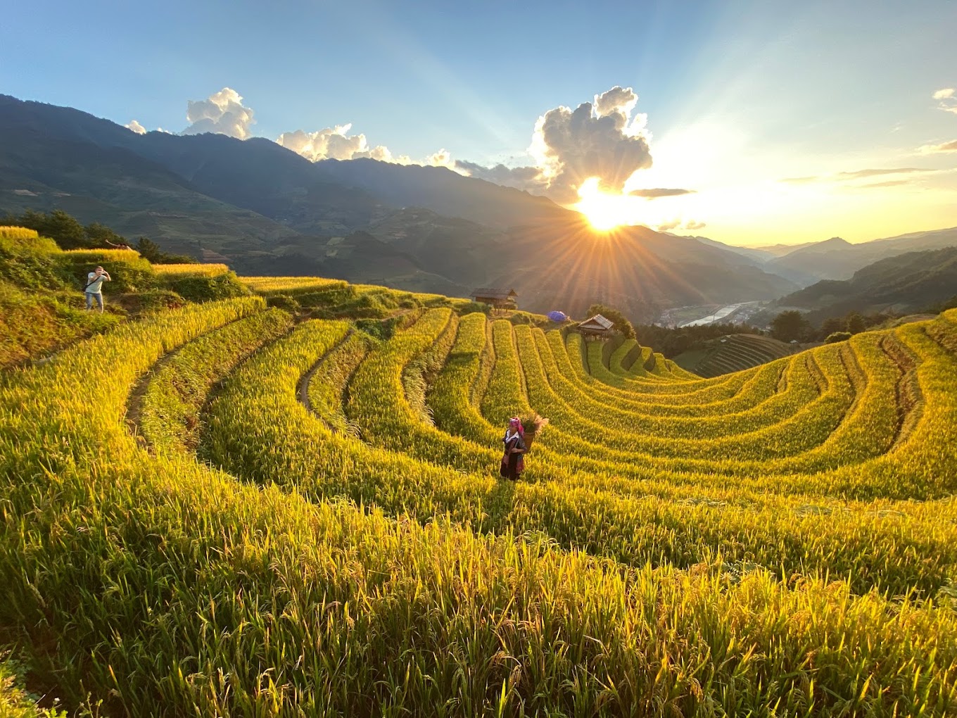 MÙ CANG CHẢI – SAPA MÙA LÚA CHÍN 3N2Đ