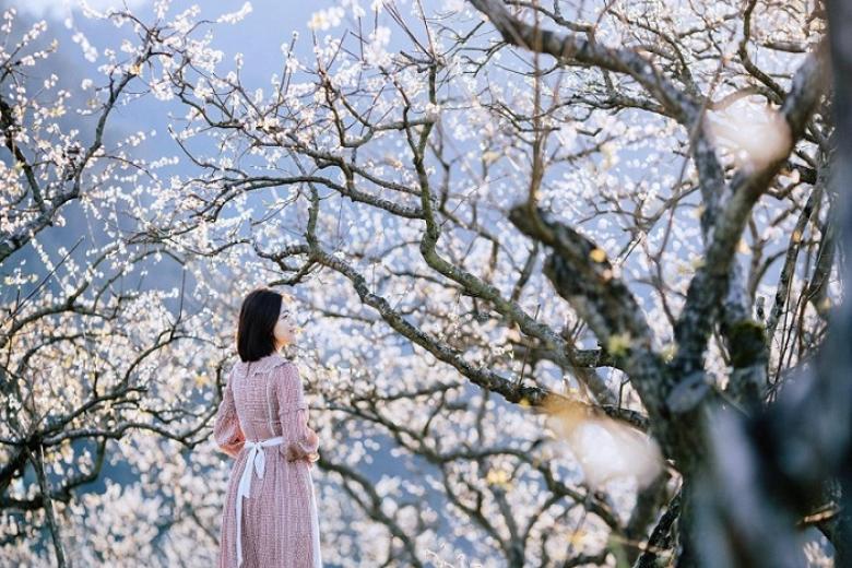 Hà Nội - Mai Châu - Mộc Châu - Điện Biên - Lai Châu 4N3Đ